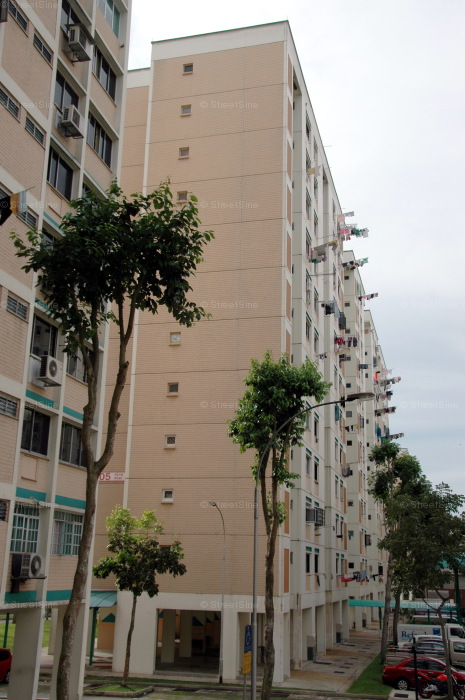 Blk 205 Petir Road (Bukit Panjang), HDB 3 Rooms #213332